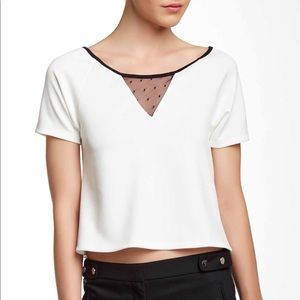 Lace Panel Scuba Blouse